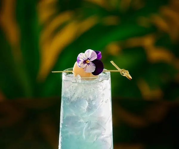 Mystery Budapest, Preferred & Hotel