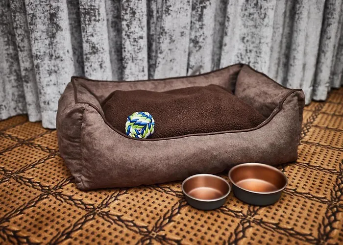 Mystery Budapest, Preferred & 5*